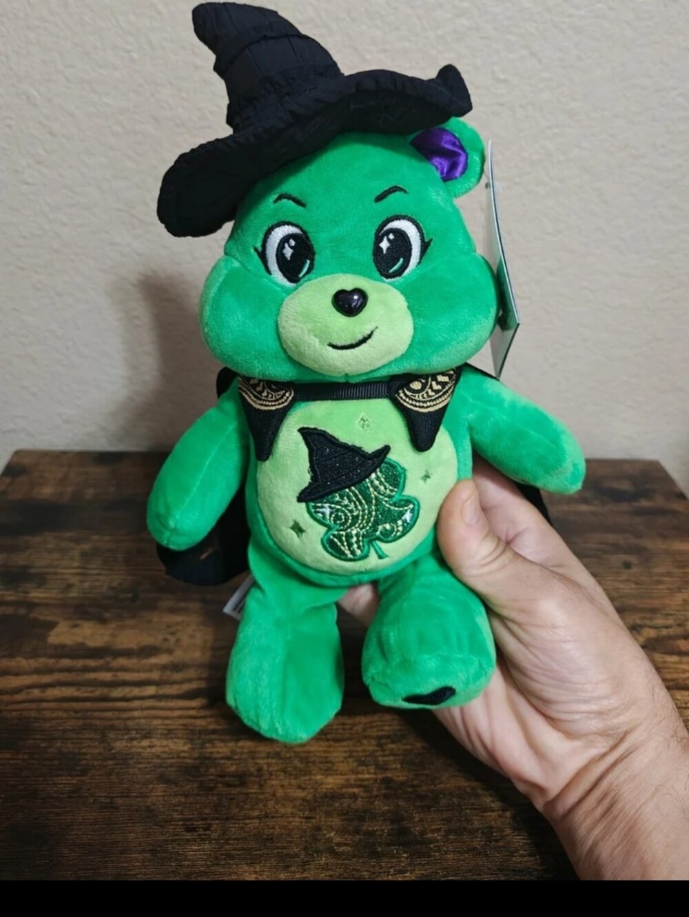 Rare Chase Variant Care Bears x Wicked Good Luck Bear as Elphaba Plush NWT